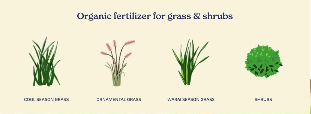 Organic Liquid Lawn Fertilizer with 1% Iron 32 fl. oz. Y251886