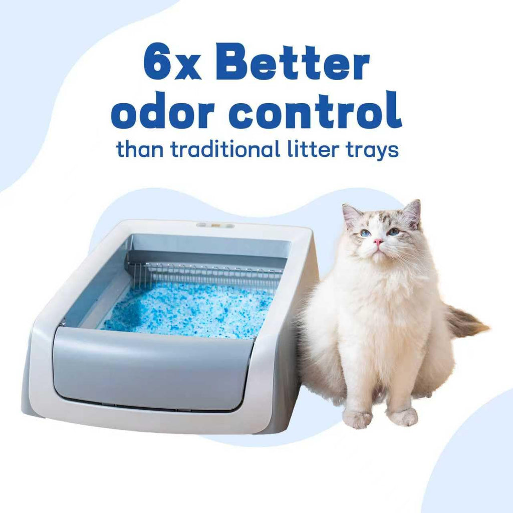 Crystal Cat Litter and Disposable Litter Trays 5 Sets V899