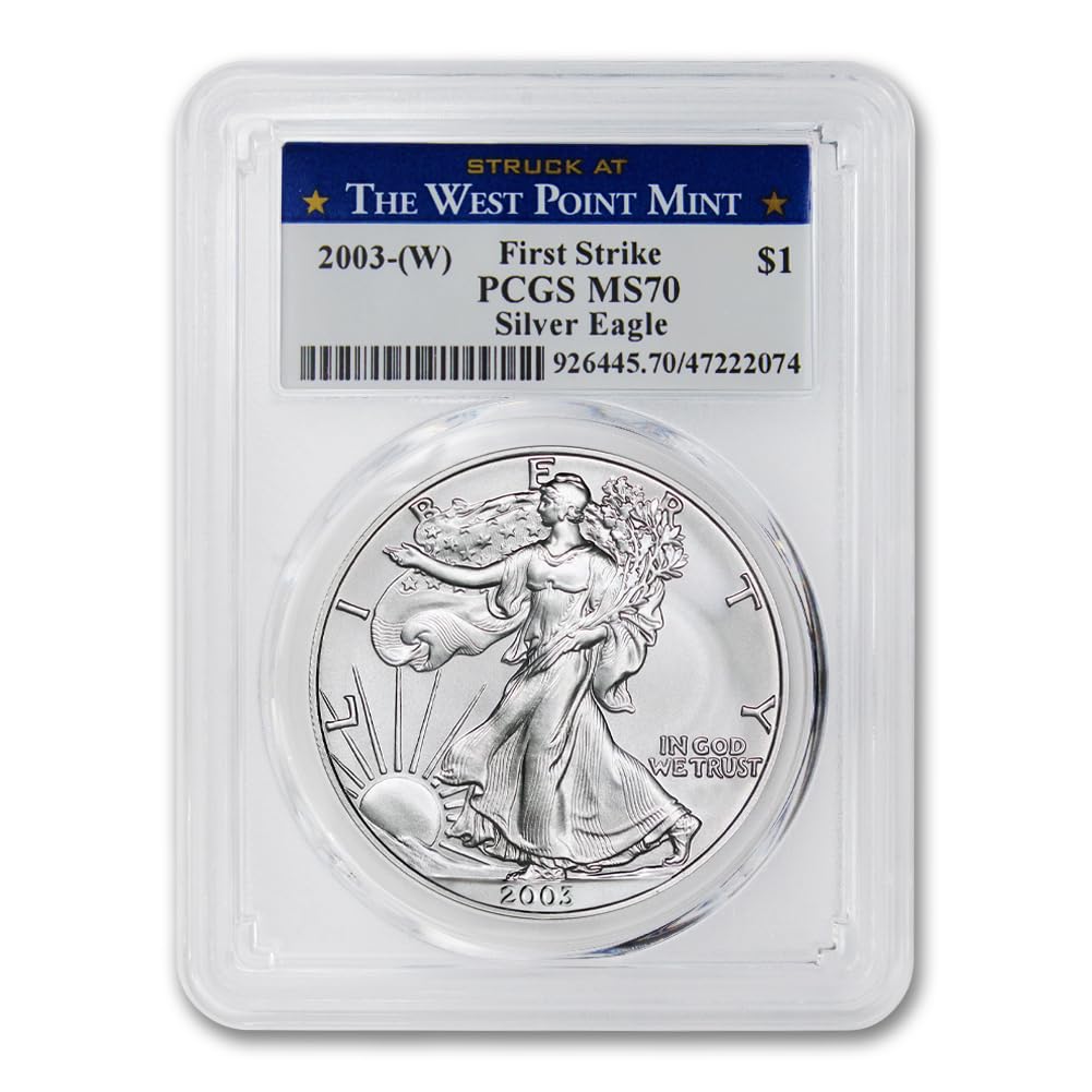 1 oz American Silver Eagle Coin MS-70 G384