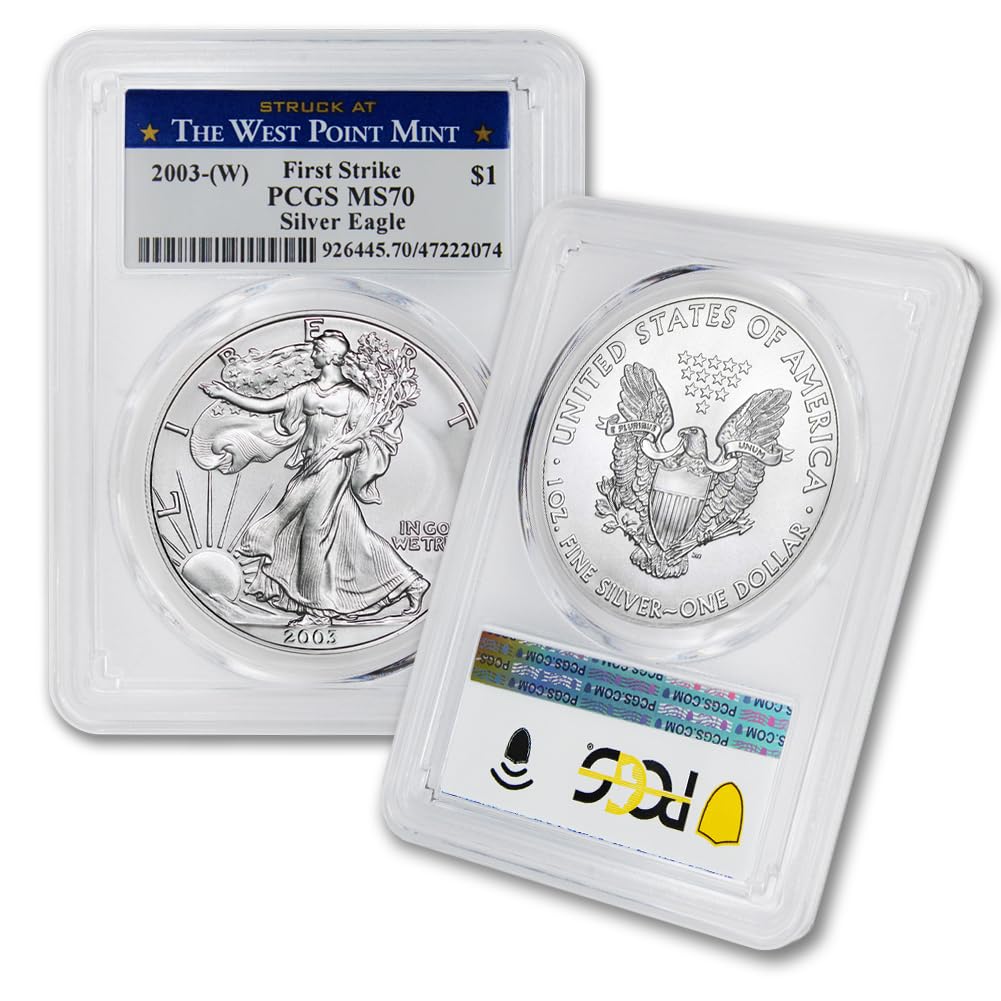 1 oz American Silver Eagle Coin MS-70 G384
