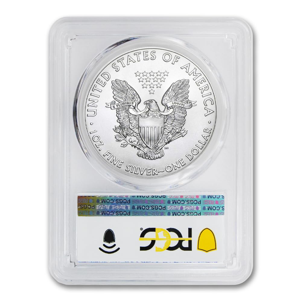 1 oz American Silver Eagle Coin MS-70 G384