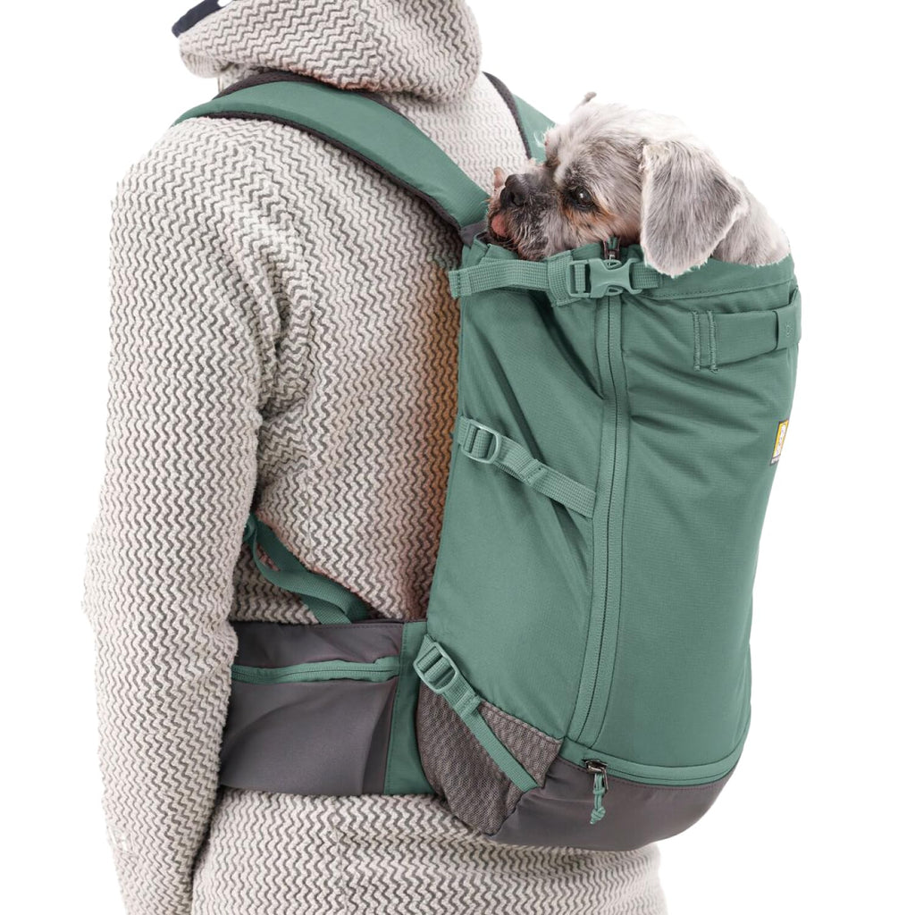 Dog Backpack Carrier E5945