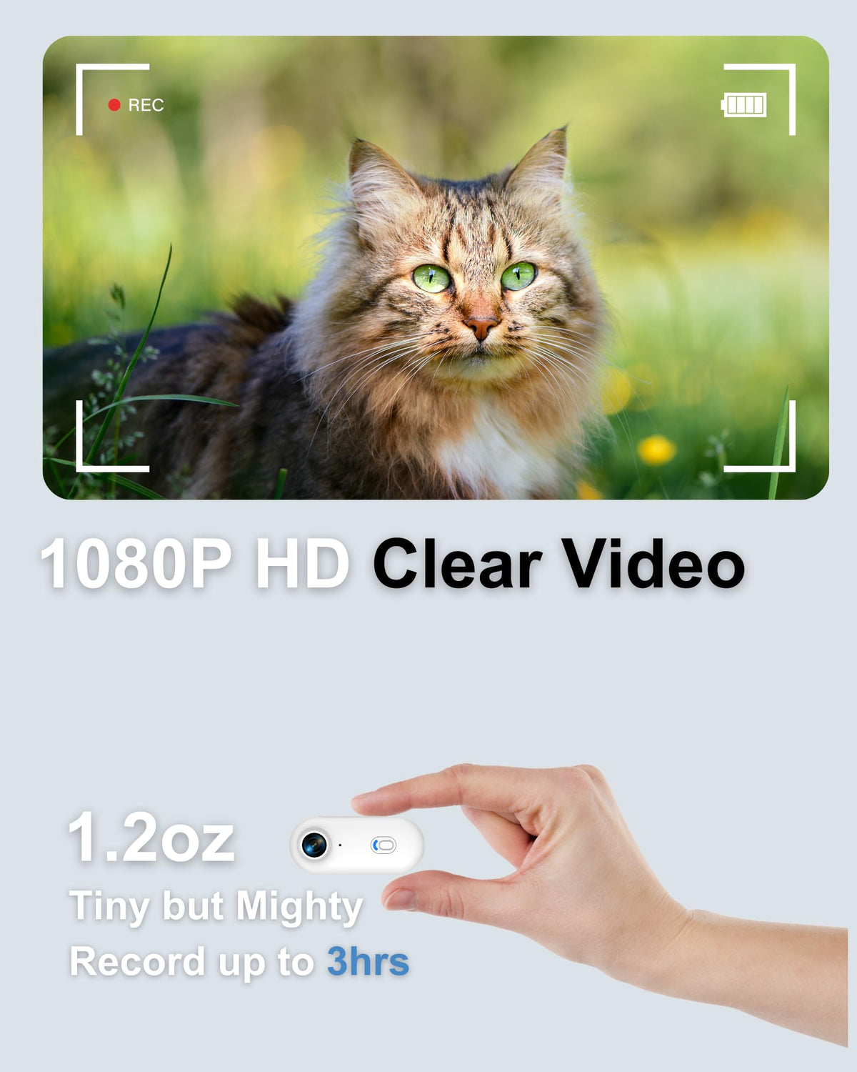Cat Camera Collar with APP, 1080P HD Pet POV Video Recording F97389