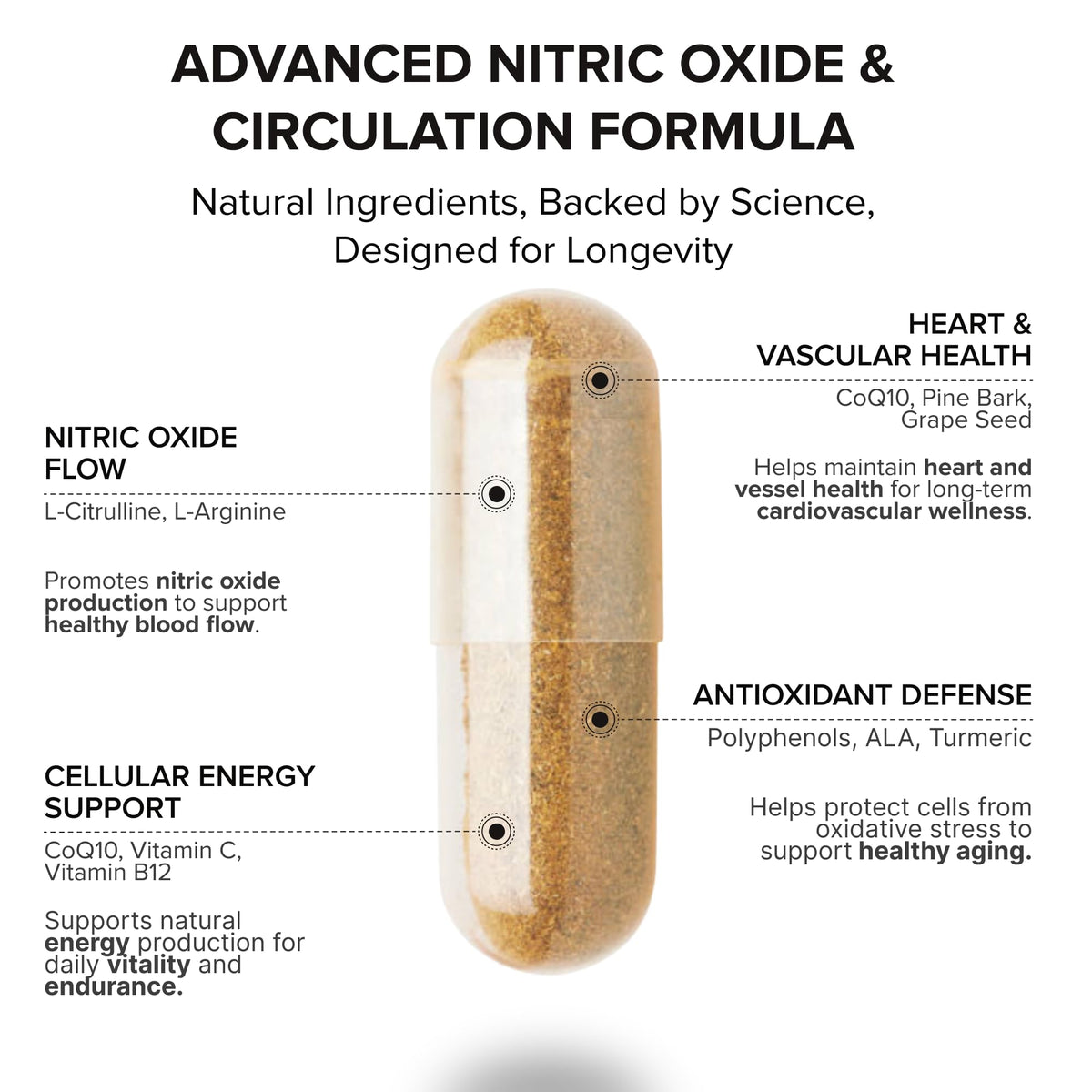 Nitric Oxide Supplement B286