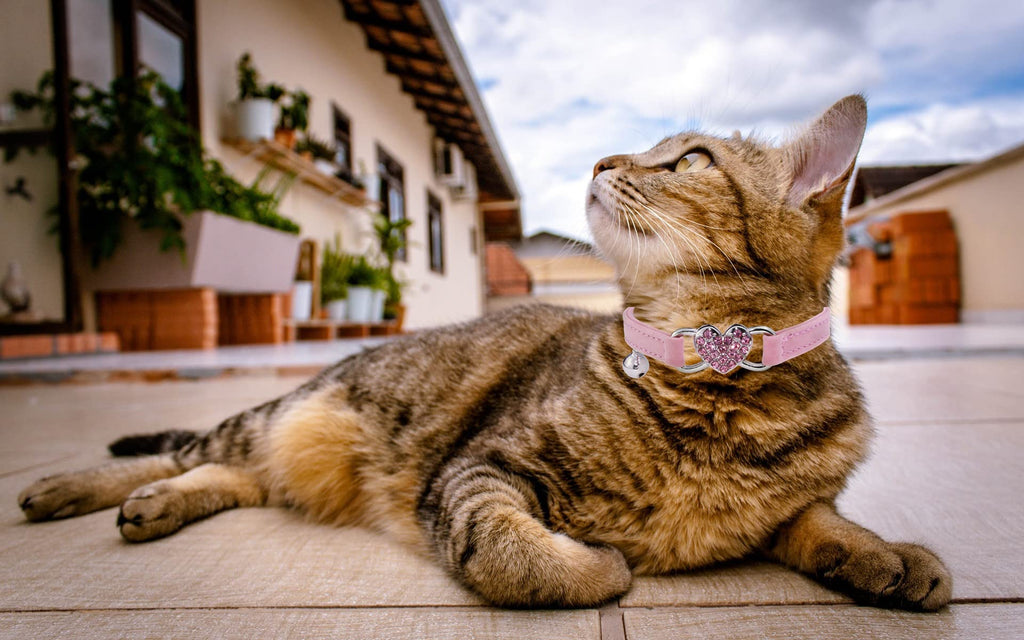 Pink Cat Collar with Safety Belt and Bell L85776