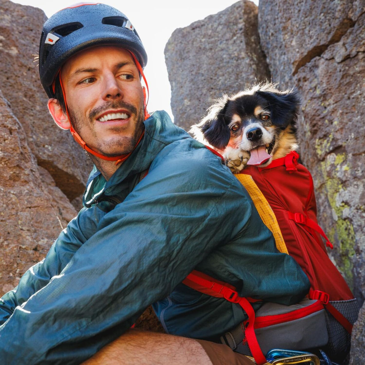 Dog Backpack Carrier E5945