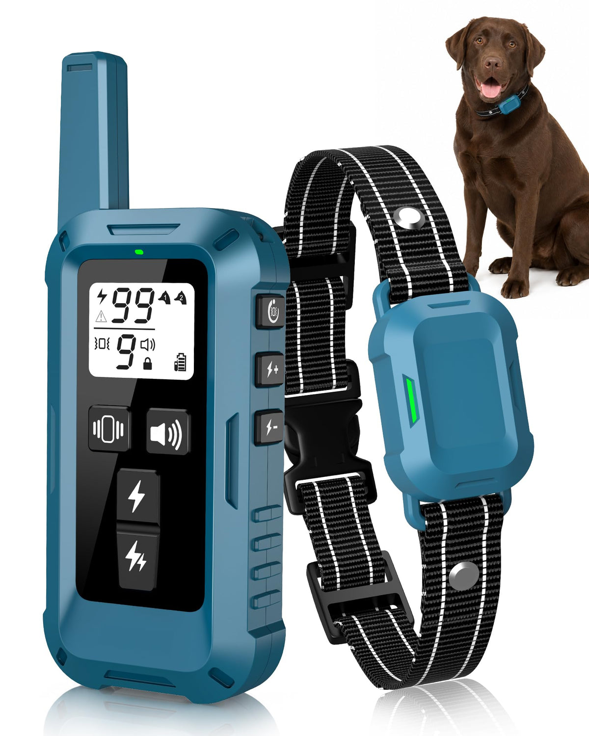 Dog Training Collar with Remote J26504