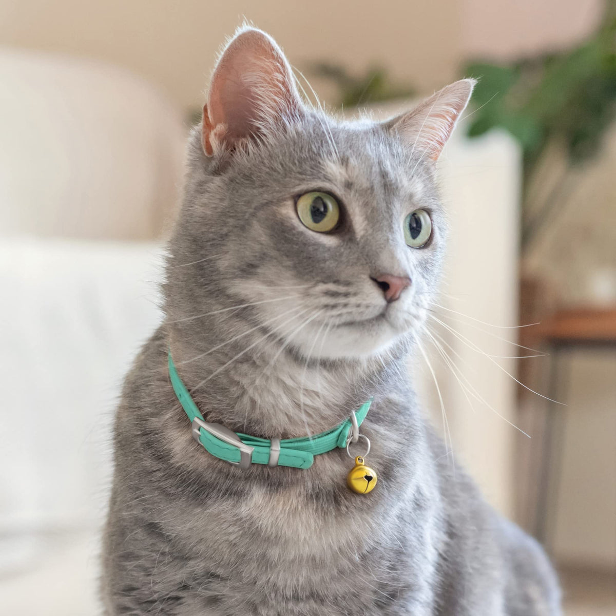 Soft Leather Cat Collar with Safety Elastic Strap N61448
