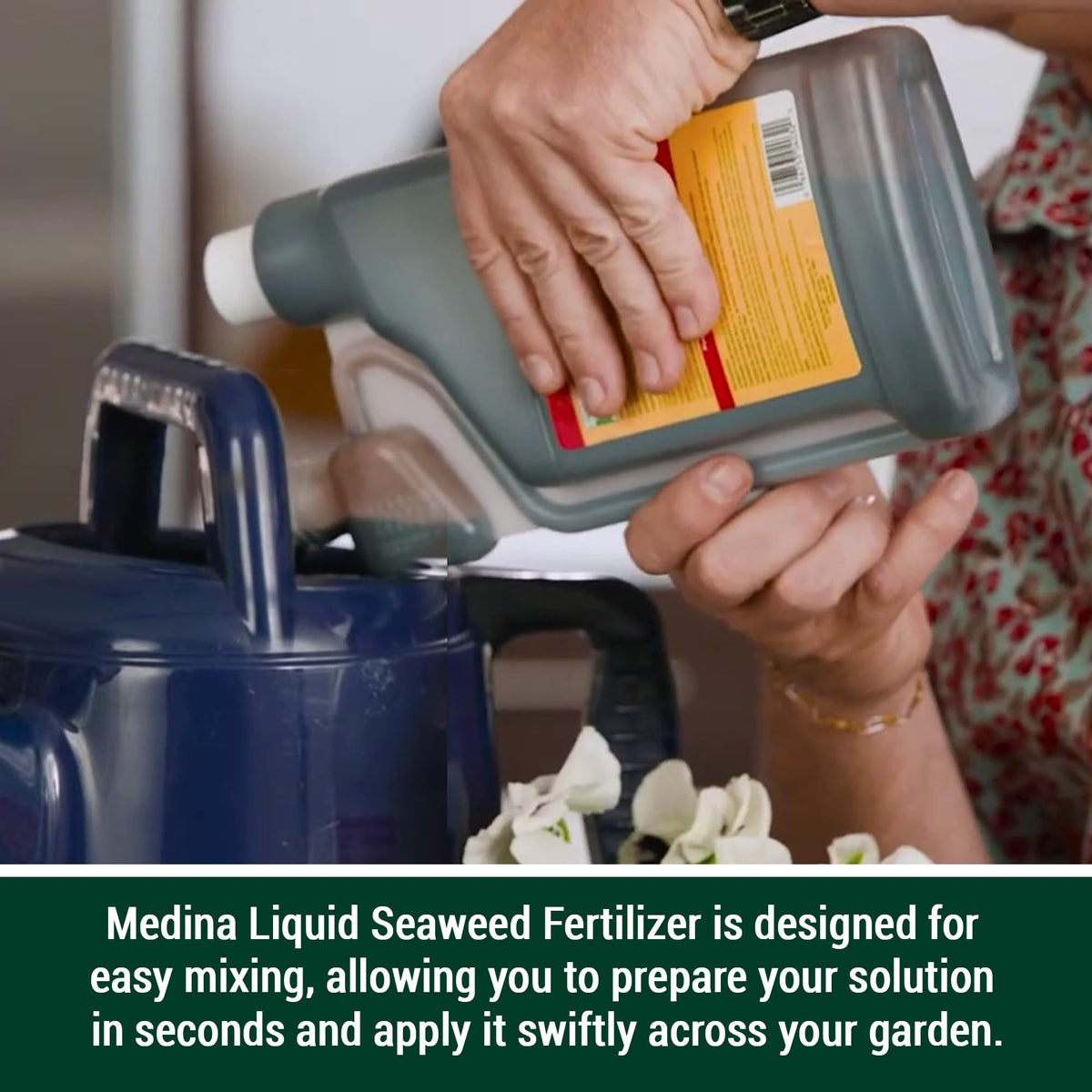 Liquid Seaweed Fertilizer 1 Quart Z106