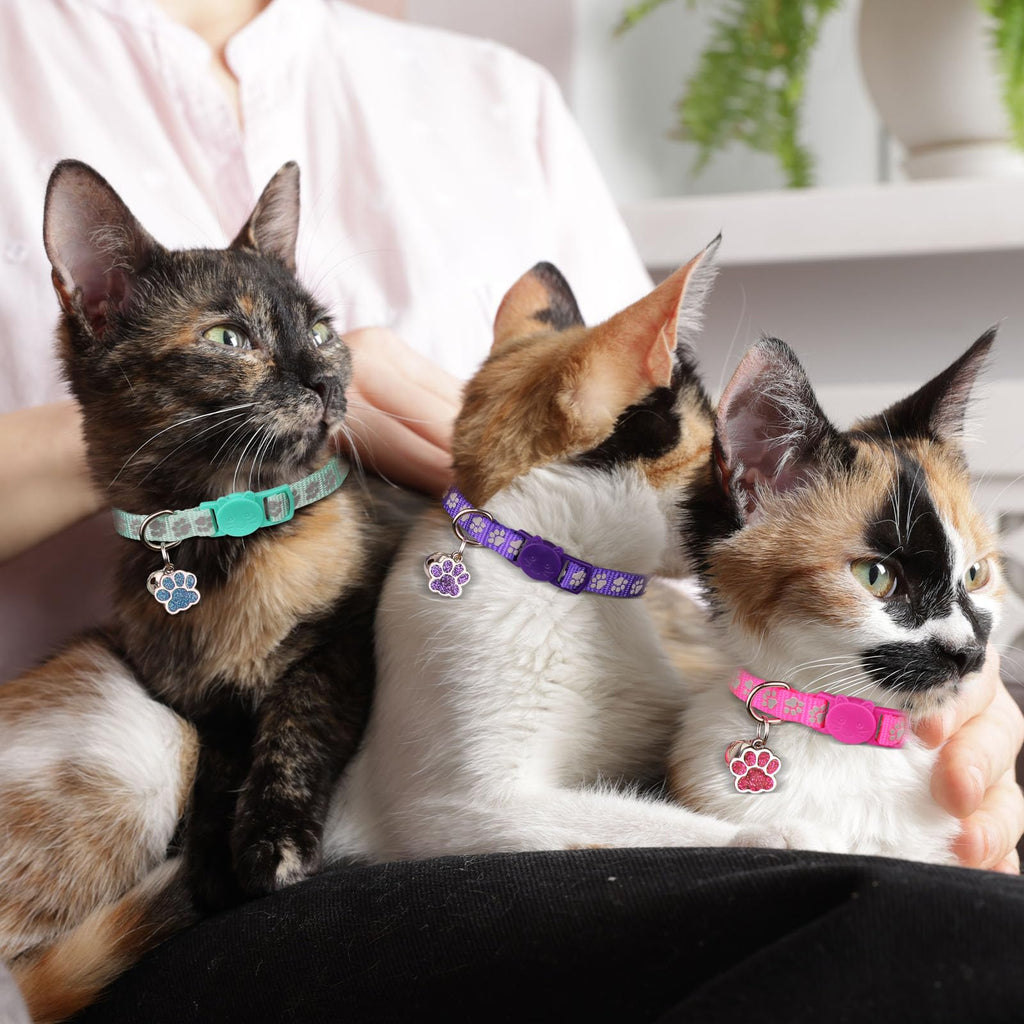 Breakaway Cat Collars with Bells 4PCS V498