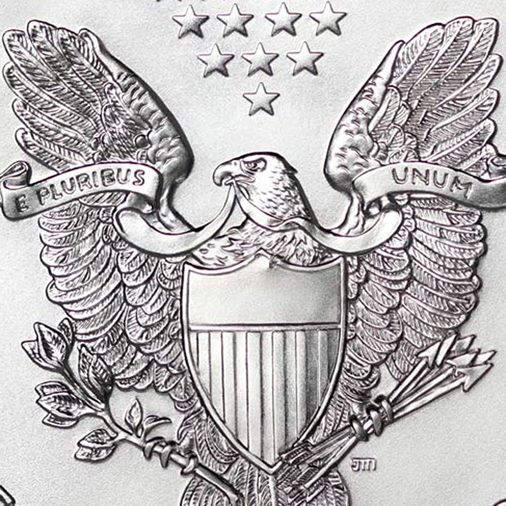 1 oz American Silver Eagle Coin MS-70 G384