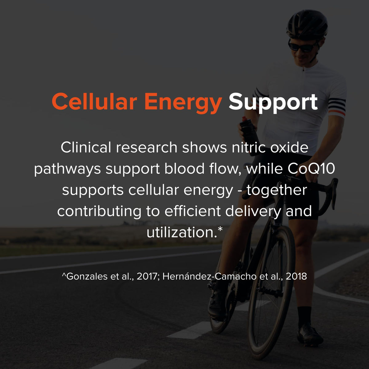 Nitric Oxide Supplement B286