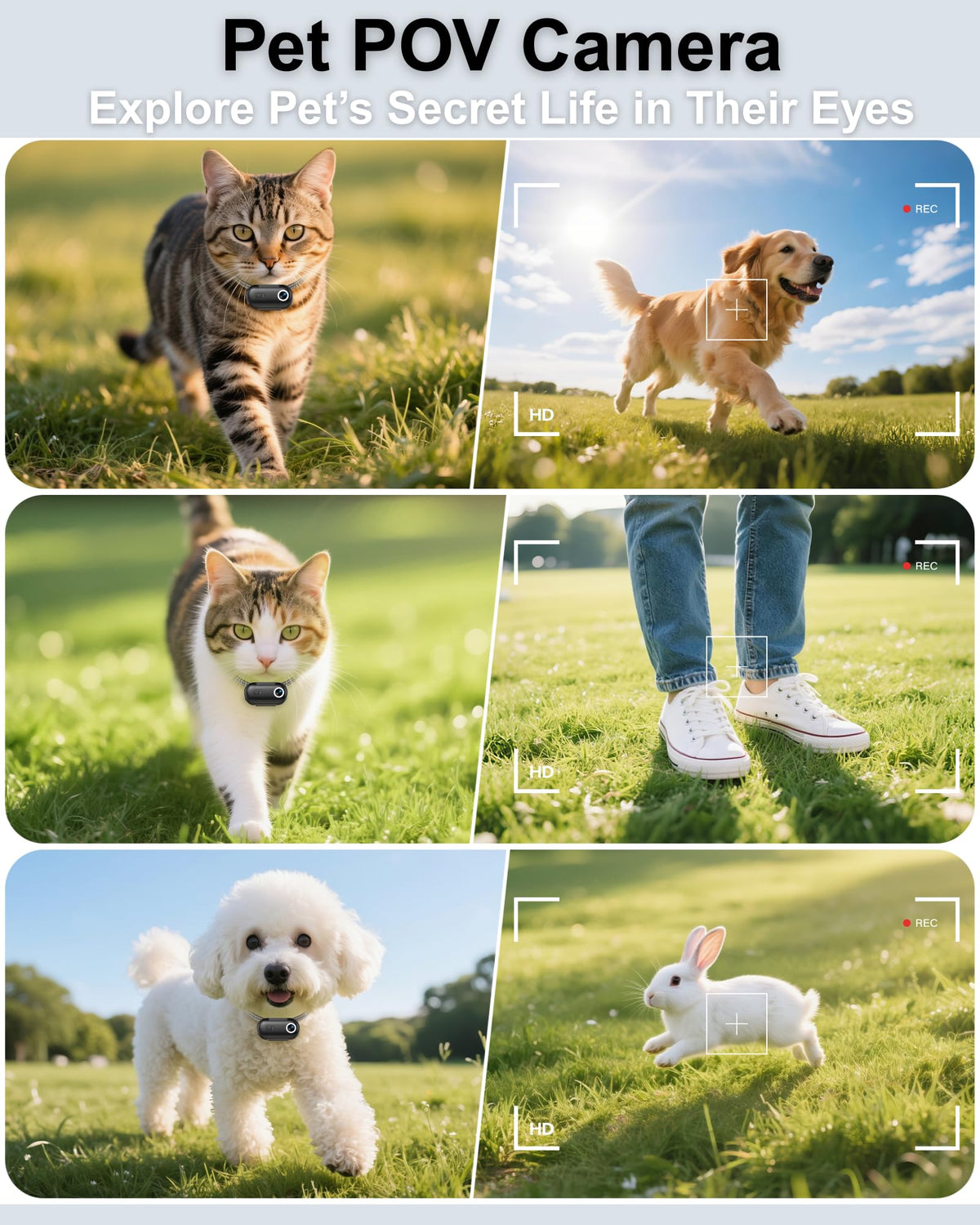 Cat Camera Collar with APP, 1080P HD Pet POV Video Recording F97389