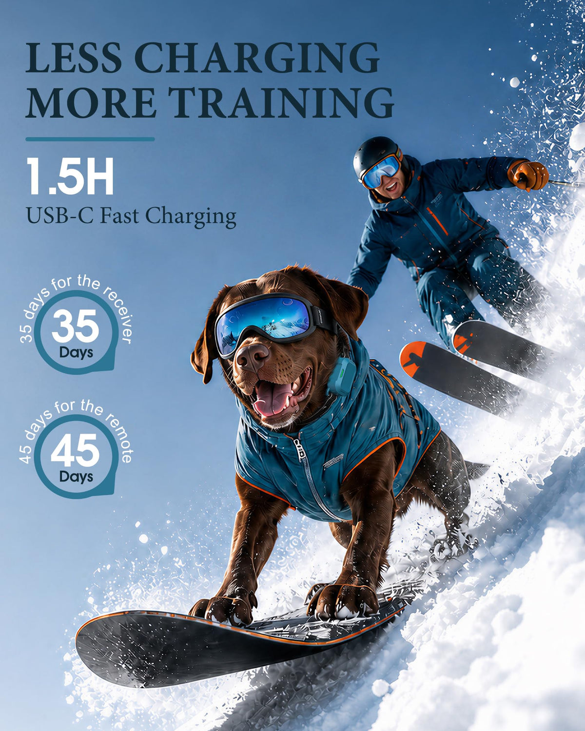 Dog Training Collar with Remote J26504