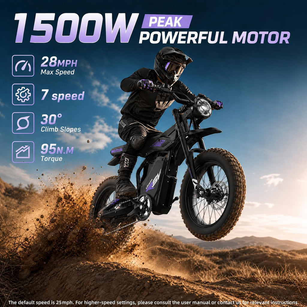 1500W Electric Bike with Pedal V122
