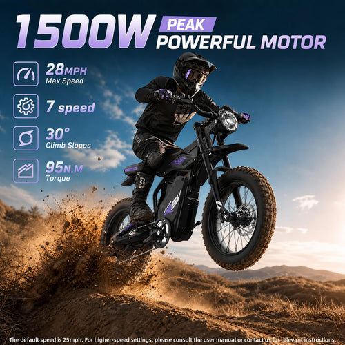 1500W Electric Bike with Pedal V122