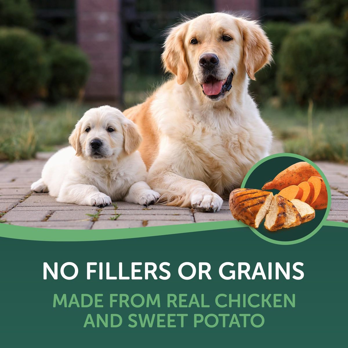 Chicken Wrapped Sweet Potato Dog Treats 16oz W499663