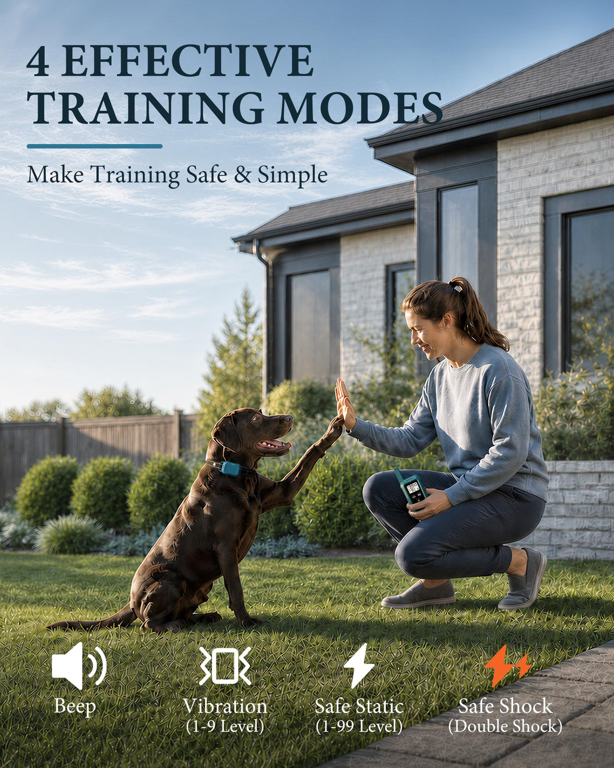 Dog Training Collar with Remote J26504