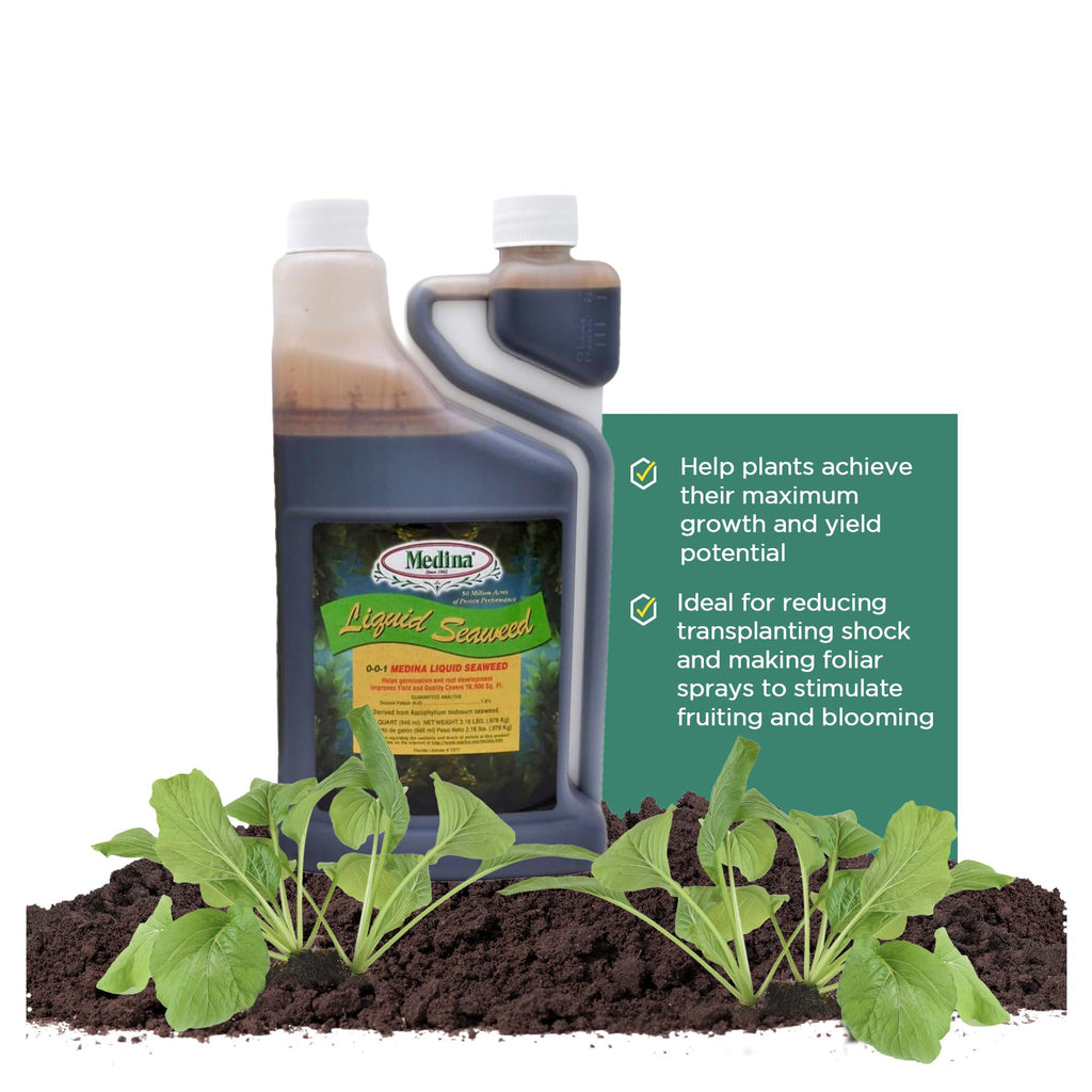 Liquid Seaweed Fertilizer 1 Quart Z106