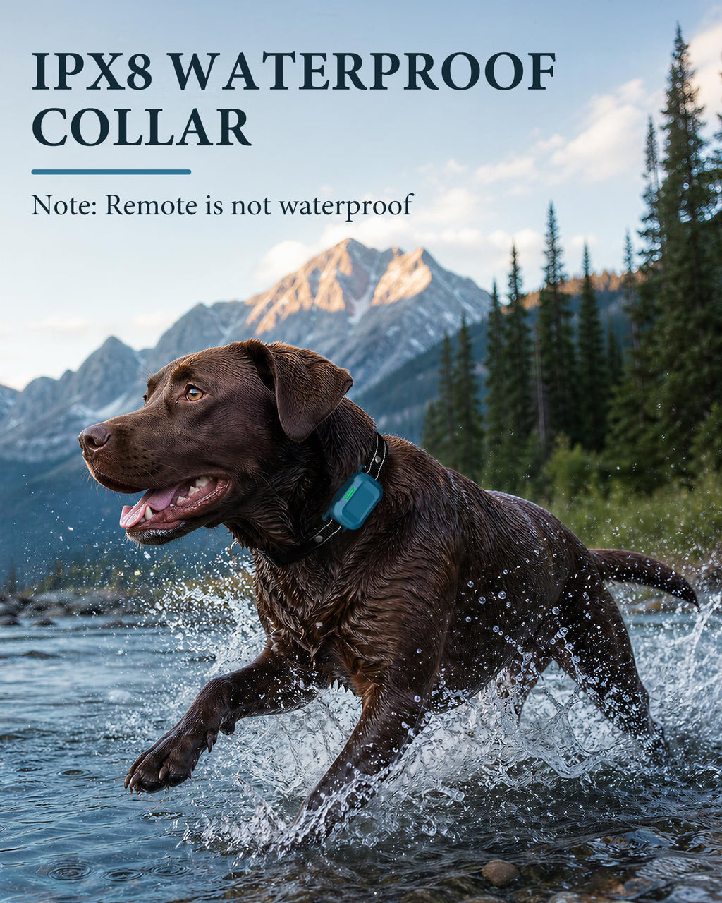 Dog Training Collar with Remote J26504
