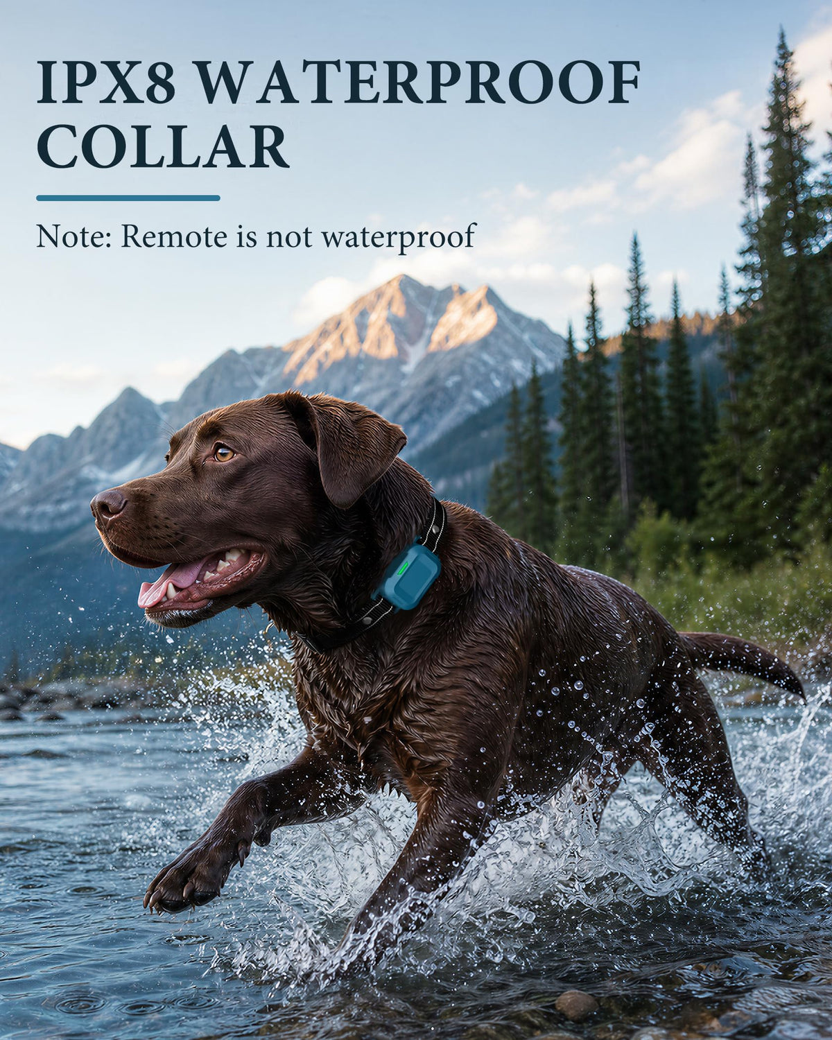 Dog Training Collar with Remote J26504