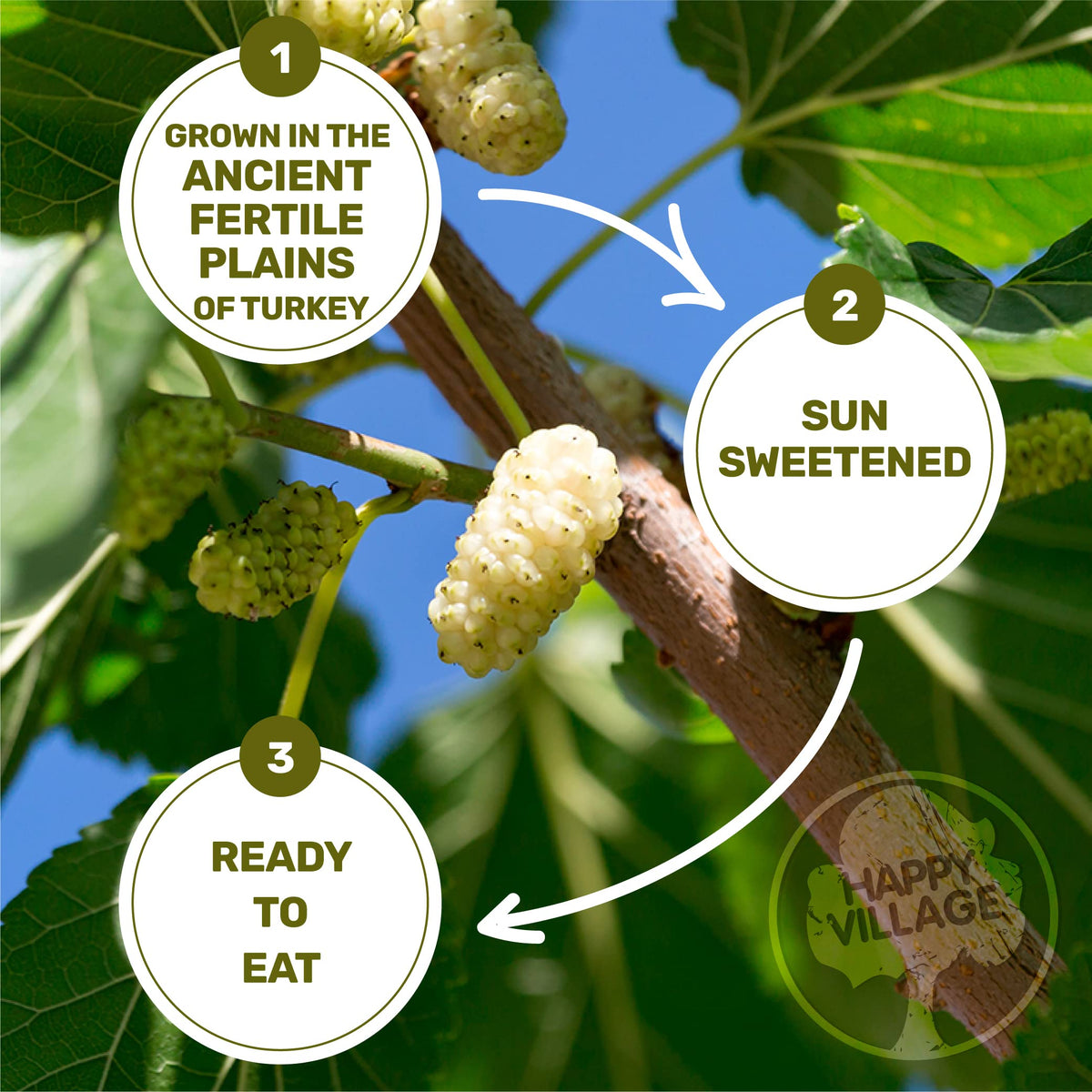 Organic Dried White Mulberries 15 OZ B56075