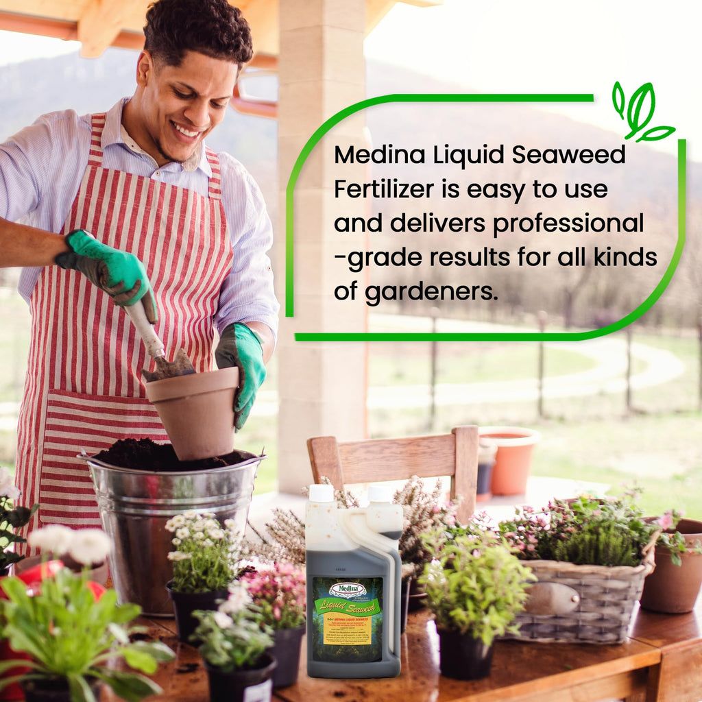 Liquid Seaweed Fertilizer 1 Quart Z106