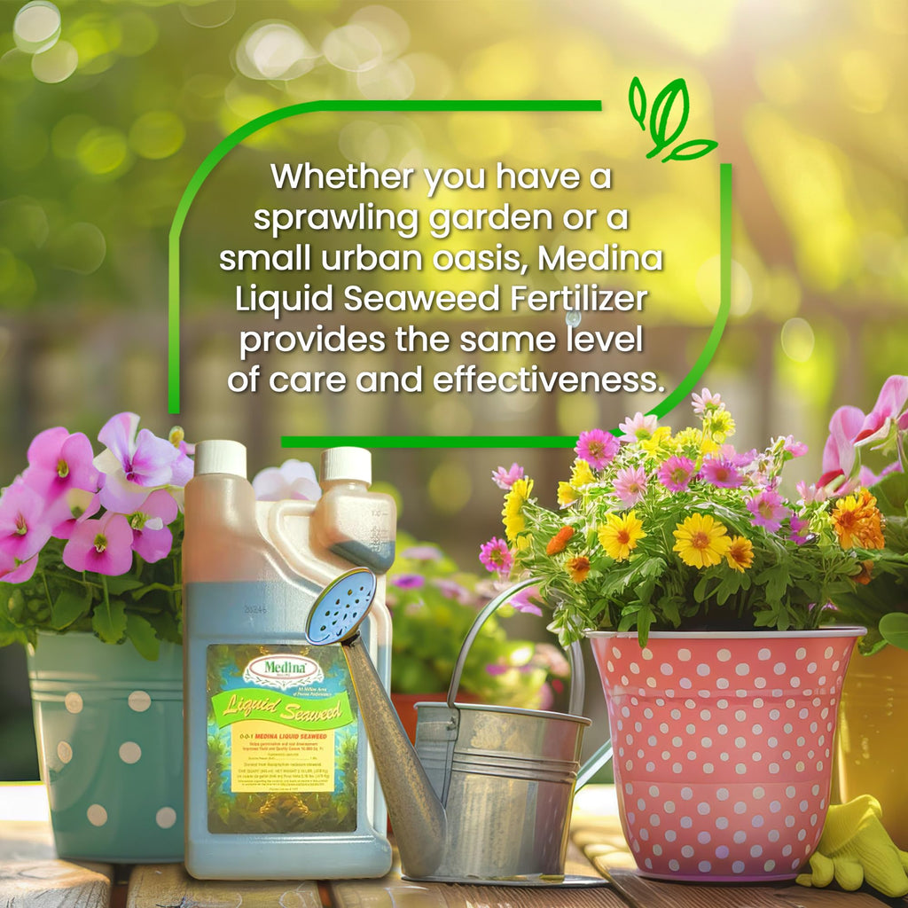 Liquid Seaweed Fertilizer 1 Quart Z106