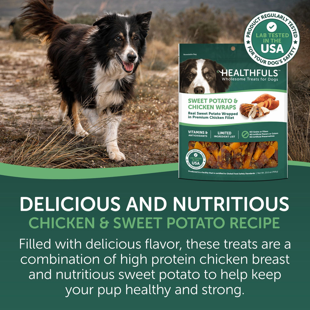 Chicken Wrapped Sweet Potato Dog Treats 16oz W499663