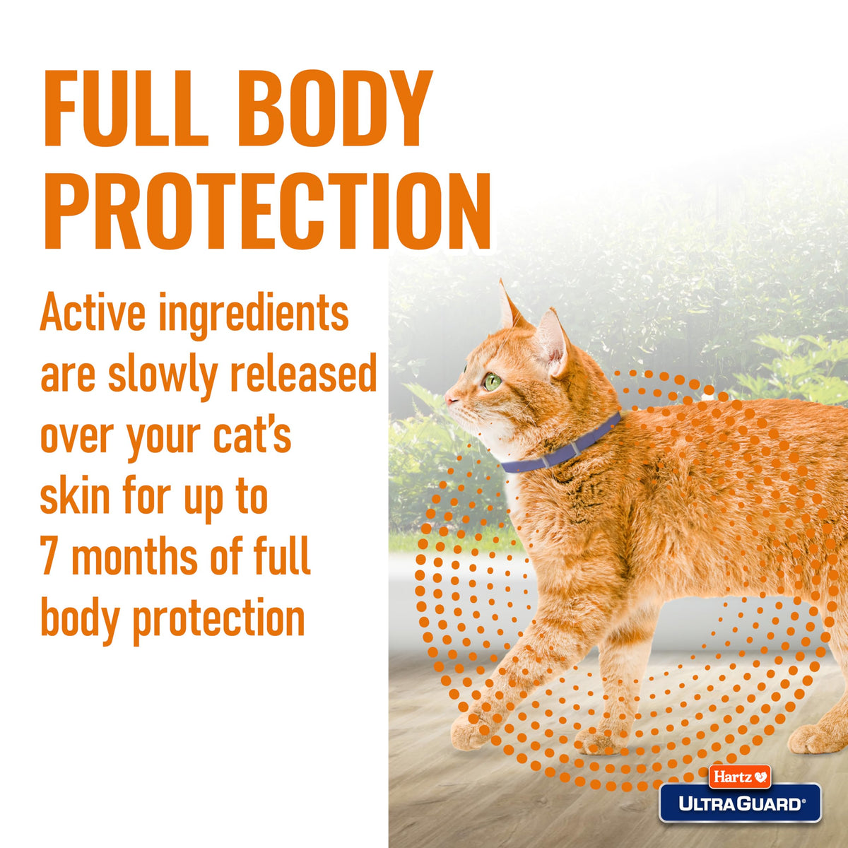 Flea & Tick Collar for Cats and Kittens K658900