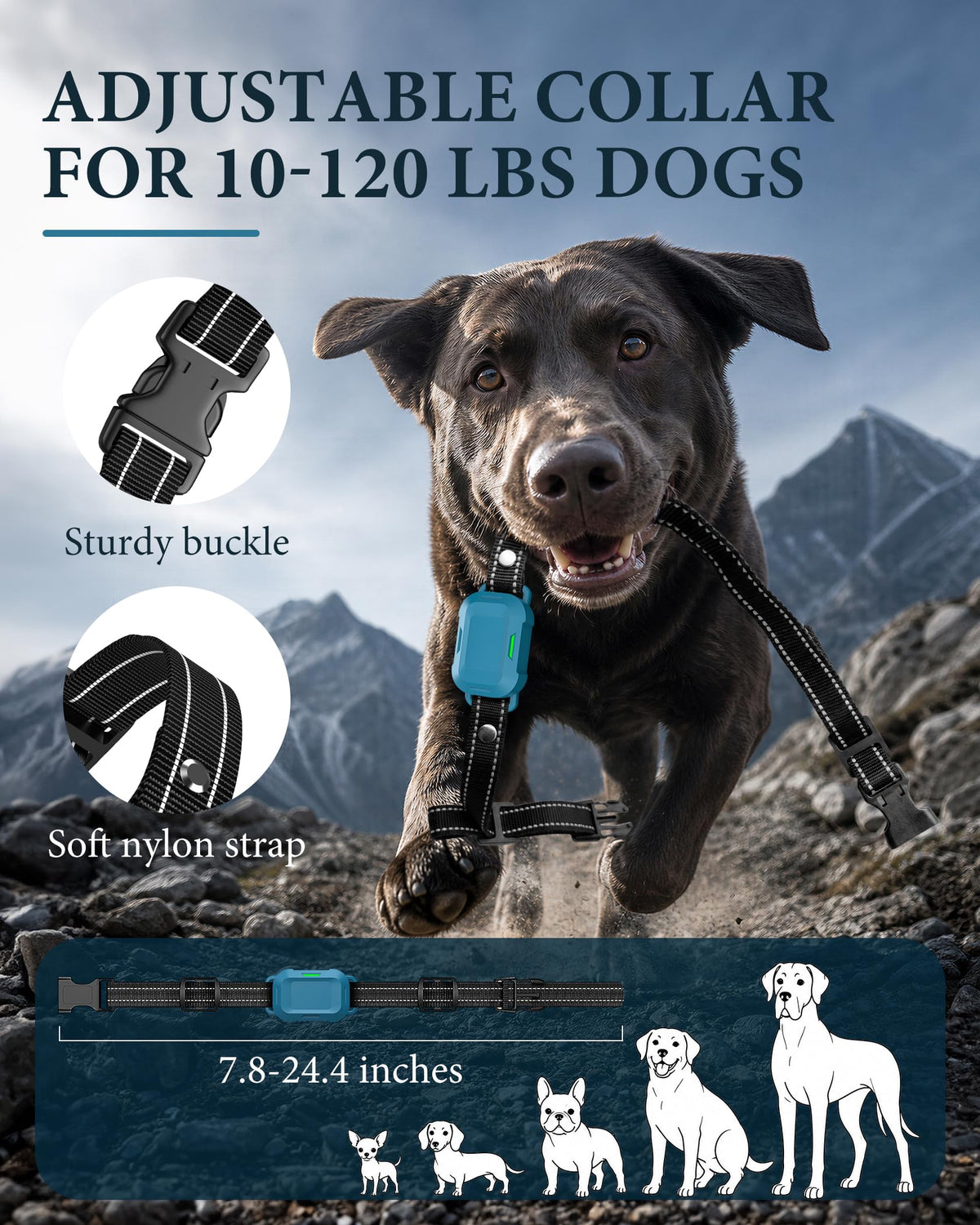 Dog Training Collar with Remote J26504