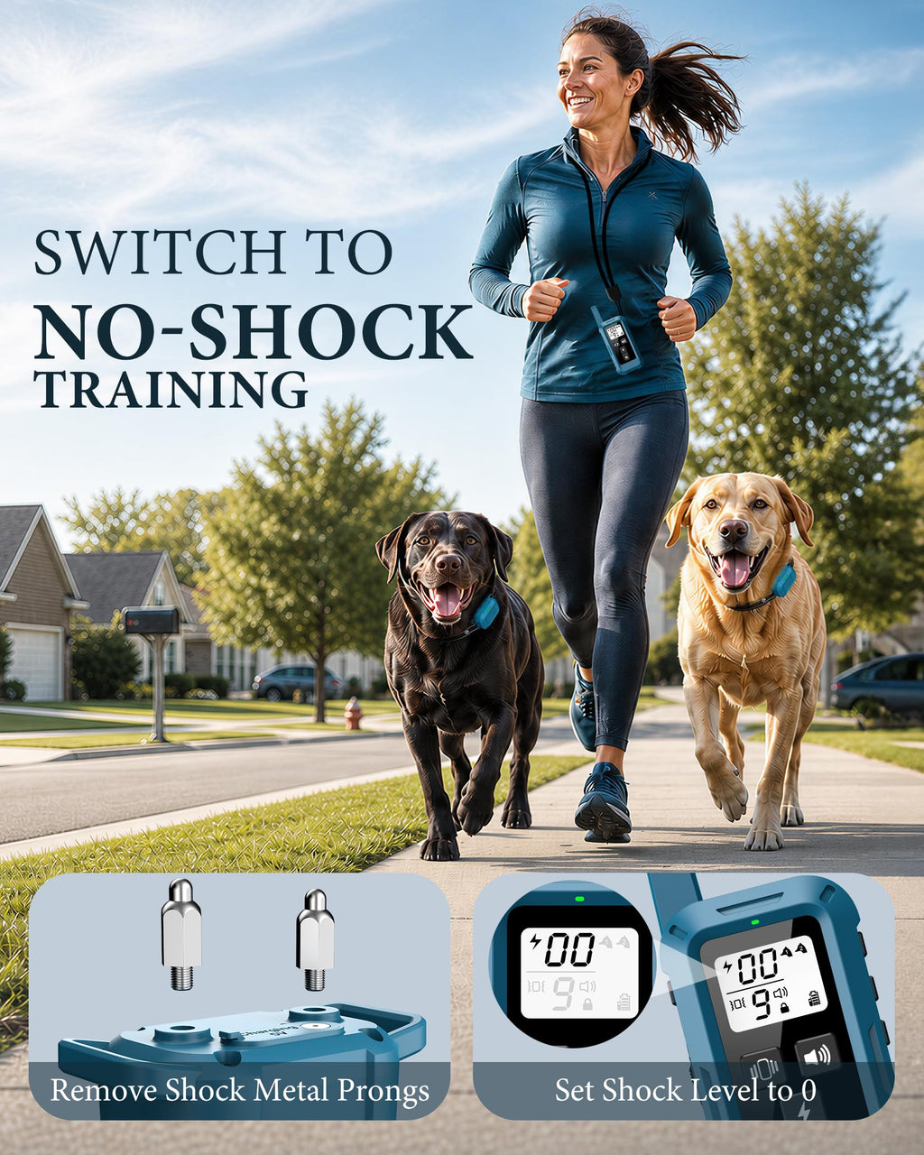 Dog Training Collar with Remote J26504